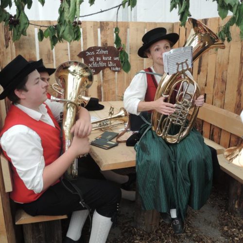 Bezirksmusikfest Wald am Arlberg