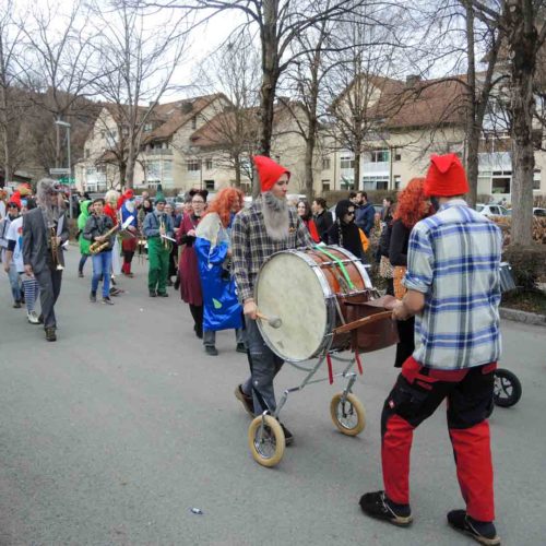 Faschingsumzug 2019