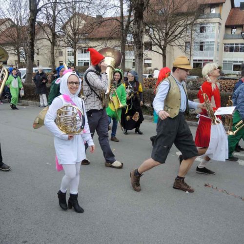 Faschingsumzug 2019